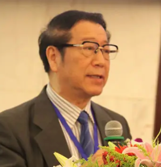 名誉会长-杜予民教授